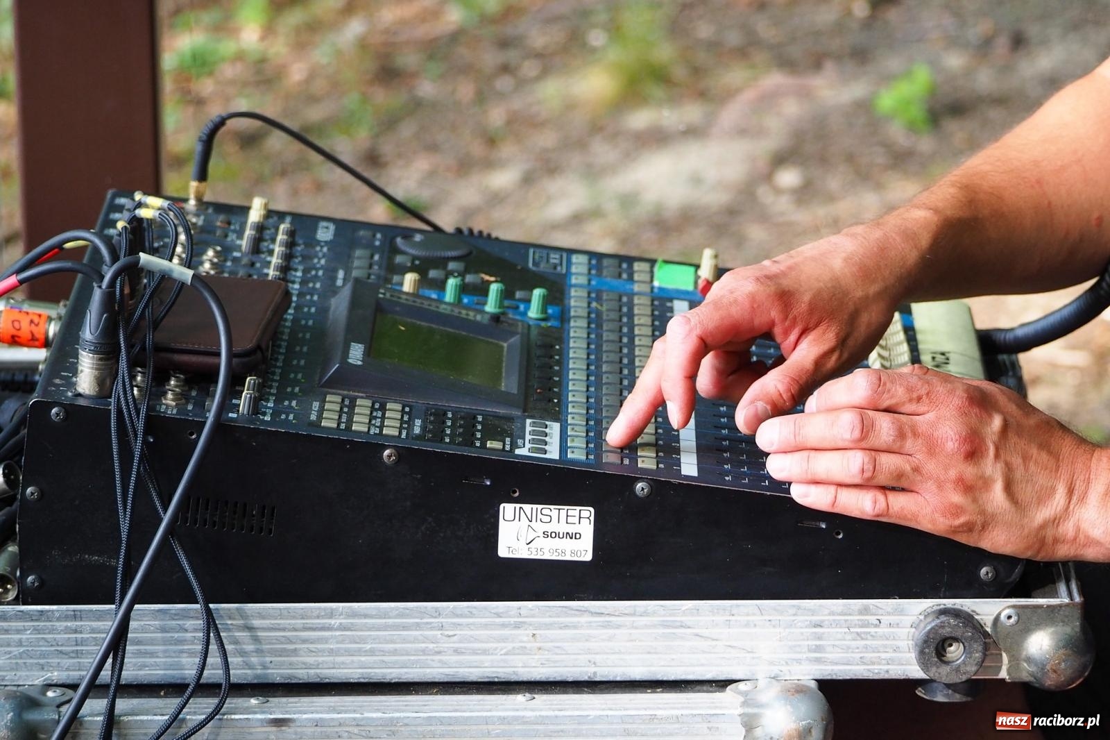 Zdjęcie w galerii na portalu naszraciborz.pl: Szlachetne smyczkowe brzmienie w raciborskim arboretum wiadomości z regionu