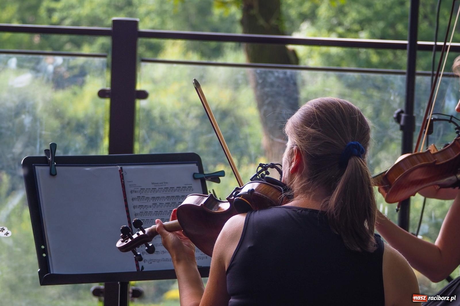 Zdjęcie w galerii na portalu naszraciborz.pl: Szlachetne smyczkowe brzmienie w raciborskim arboretum wiadomości z regionu