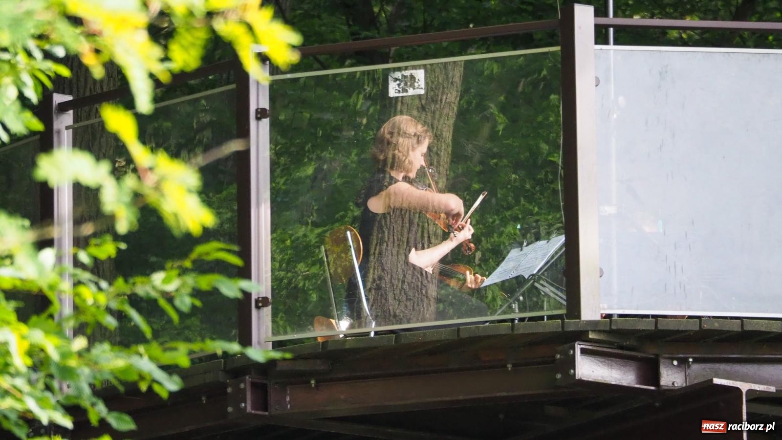 Zdjęcie w galerii na portalu naszraciborz.pl: Szlachetne smyczkowe brzmienie w raciborskim arboretum wiadomości z regionu