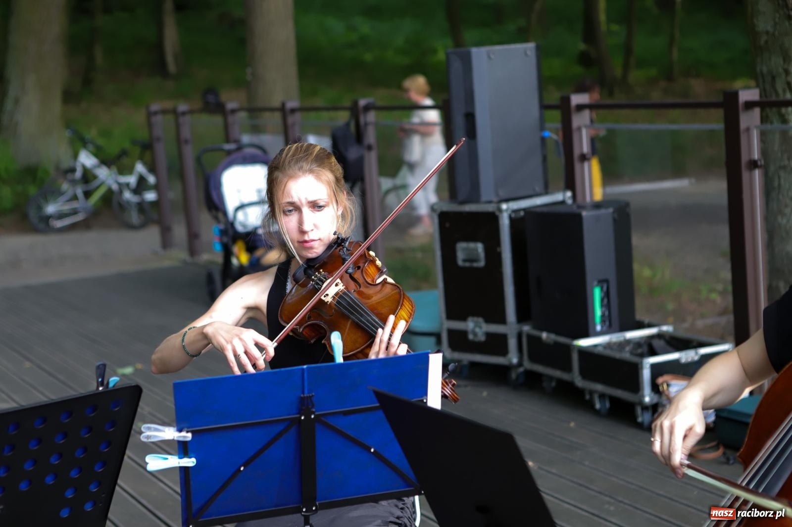 Zdjęcie w galerii na portalu naszraciborz.pl: Szlachetne smyczkowe brzmienie w raciborskim arboretum wiadomości z regionu