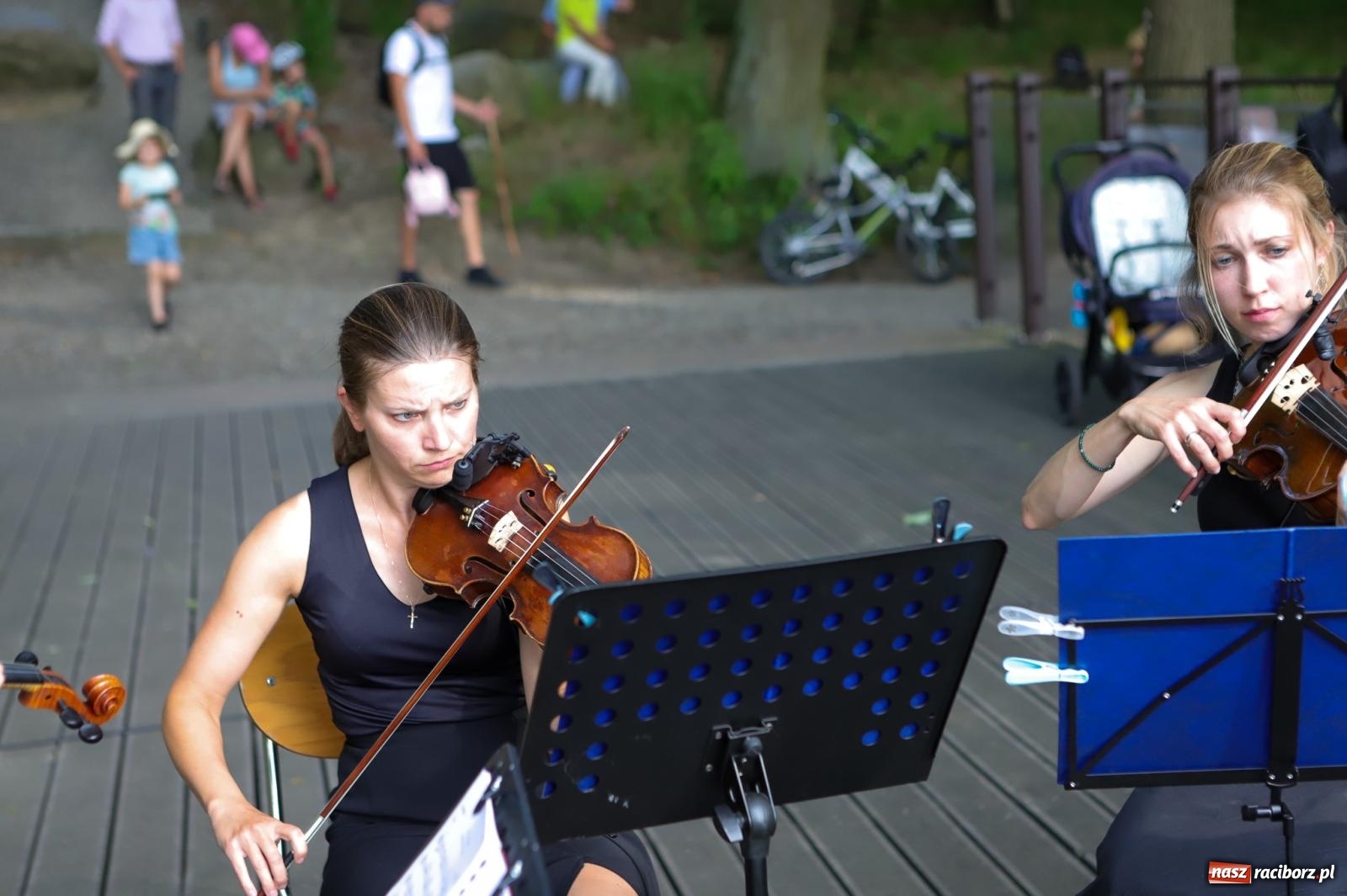 Zdjęcie w galerii na portalu naszraciborz.pl: Szlachetne smyczkowe brzmienie w raciborskim arboretum wiadomości z regionu