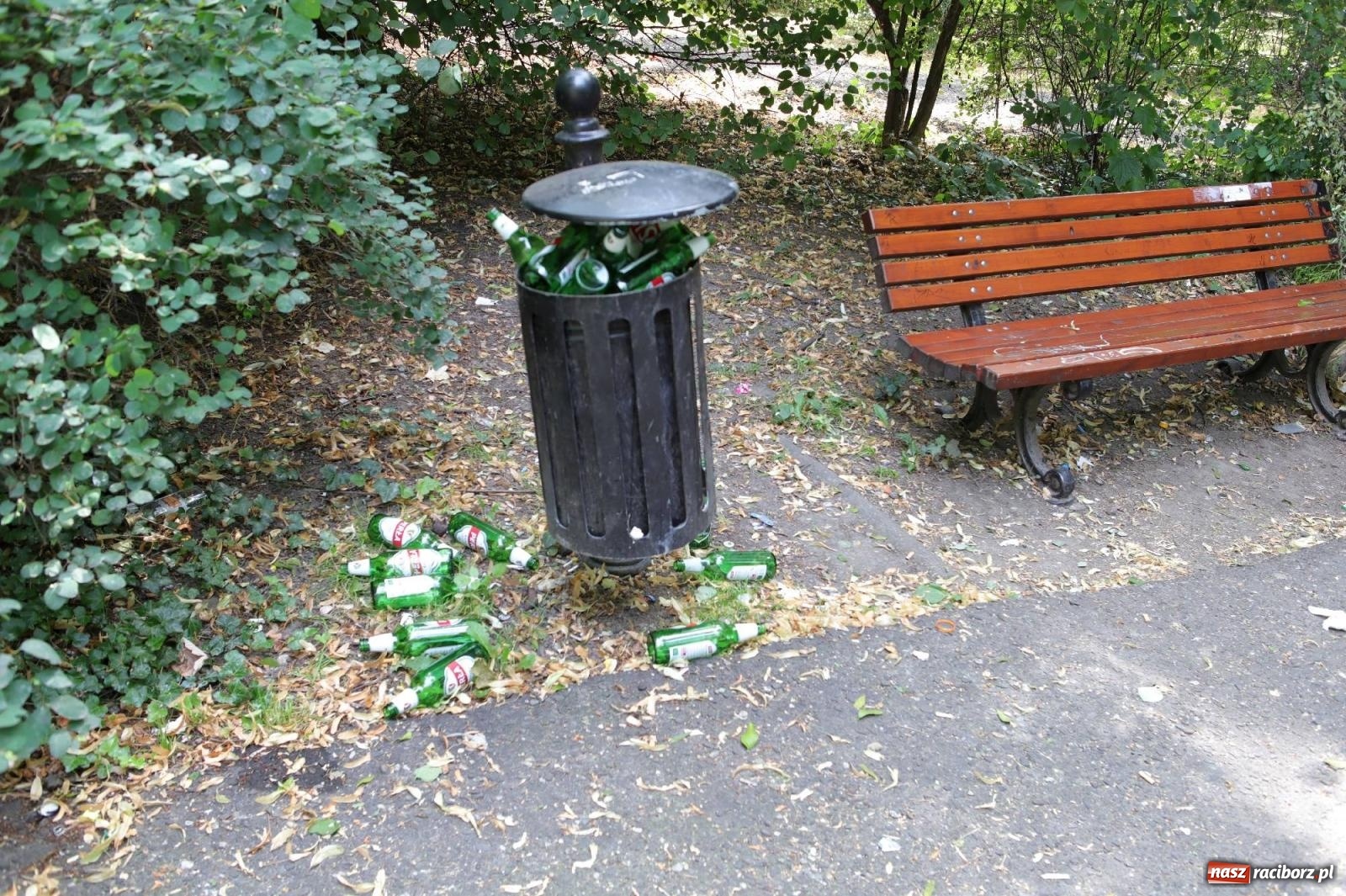 Zdjęcie w galerii na portalu naszraciborz.pl: Park przy Opawskiej zamienia się wieczorem w melinę wiadomości z regionu