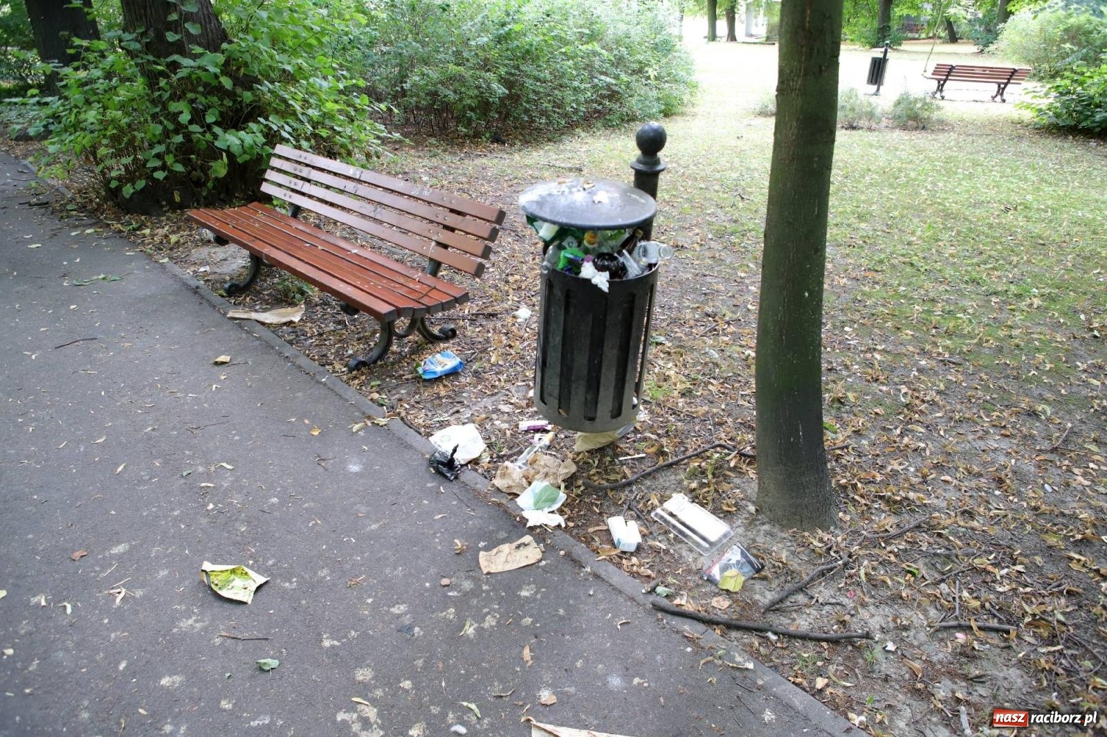 Zdjęcie w galerii na portalu naszraciborz.pl: Park przy Opawskiej zamienia się wieczorem w melinę wiadomości z regionu