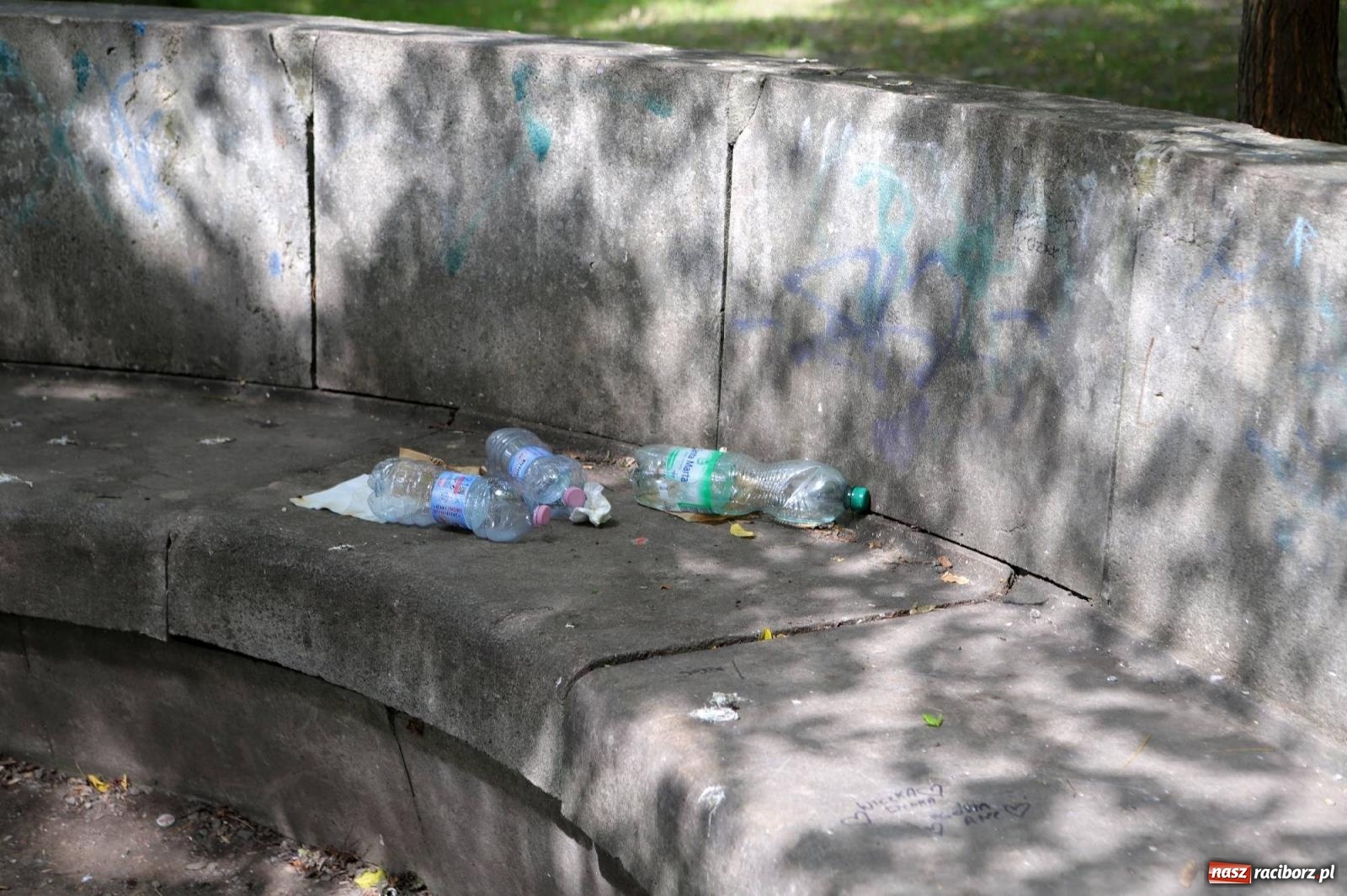 Zdjęcie w galerii na portalu naszraciborz.pl: Park przy Opawskiej zamienia się wieczorem w melinę wiadomości z regionu