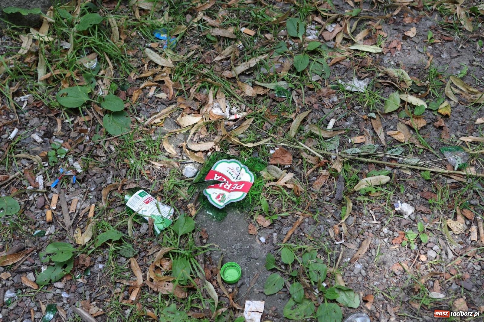 Zdjęcie w galerii na portalu naszraciborz.pl: Park przy Opawskiej zamienia się wieczorem w melinę wiadomości z regionu