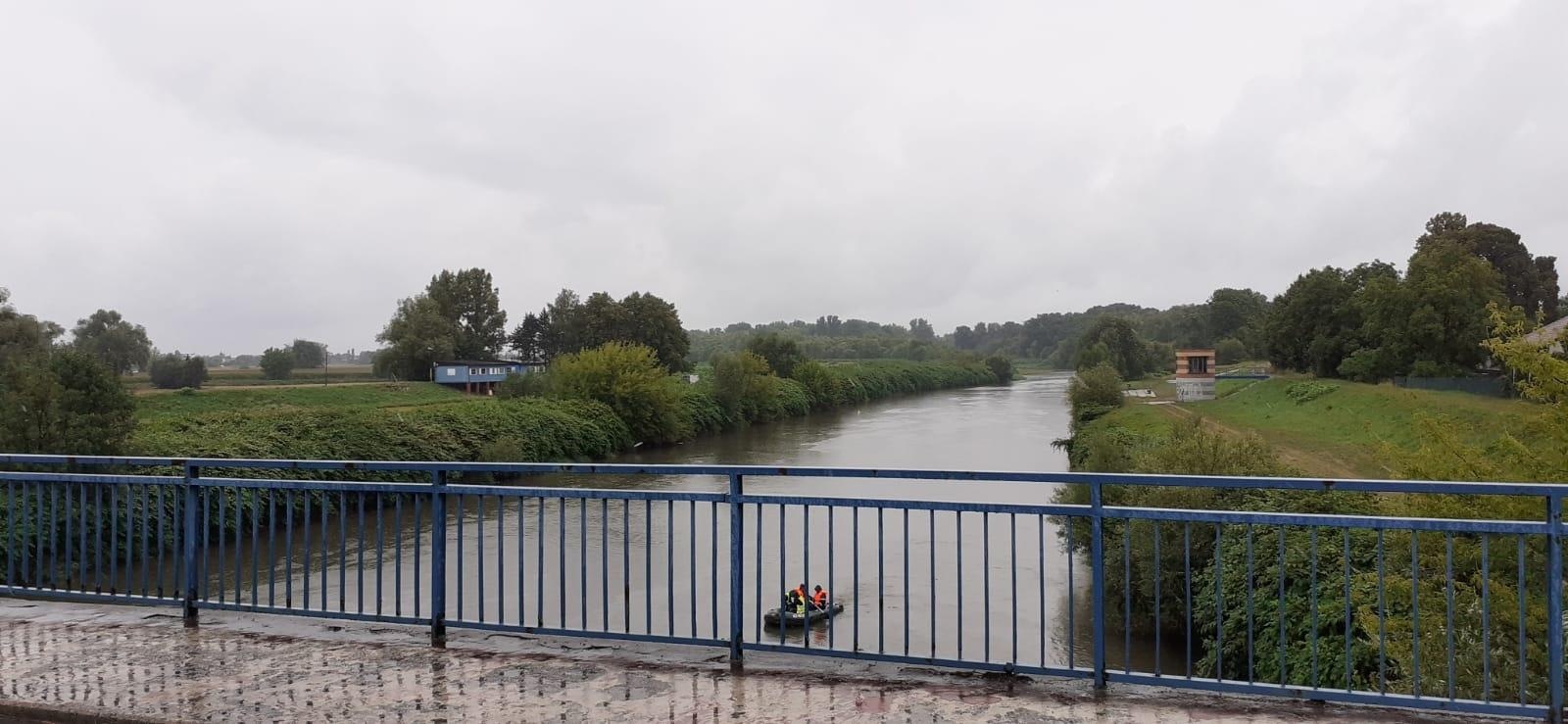 Zdjęcie w galerii na portalu naszraciborz.pl: Śnięte ryby na granicznym odcinku rzeki Odry w powiecie raciborskim wiadomości z regionu