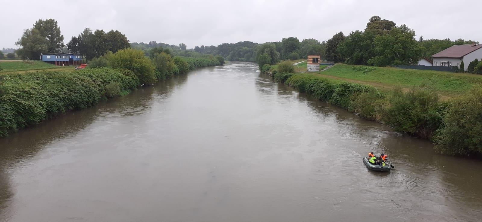 Zdjęcie w galerii na portalu naszraciborz.pl: Śnięte ryby na granicznym odcinku rzeki Odry w powiecie raciborskim wiadomości z regionu