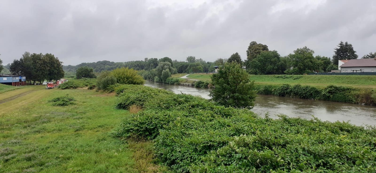Zdjęcie w galerii na portalu naszraciborz.pl: Śnięte ryby na granicznym odcinku rzeki Odry w powiecie raciborskim wiadomości z regionu