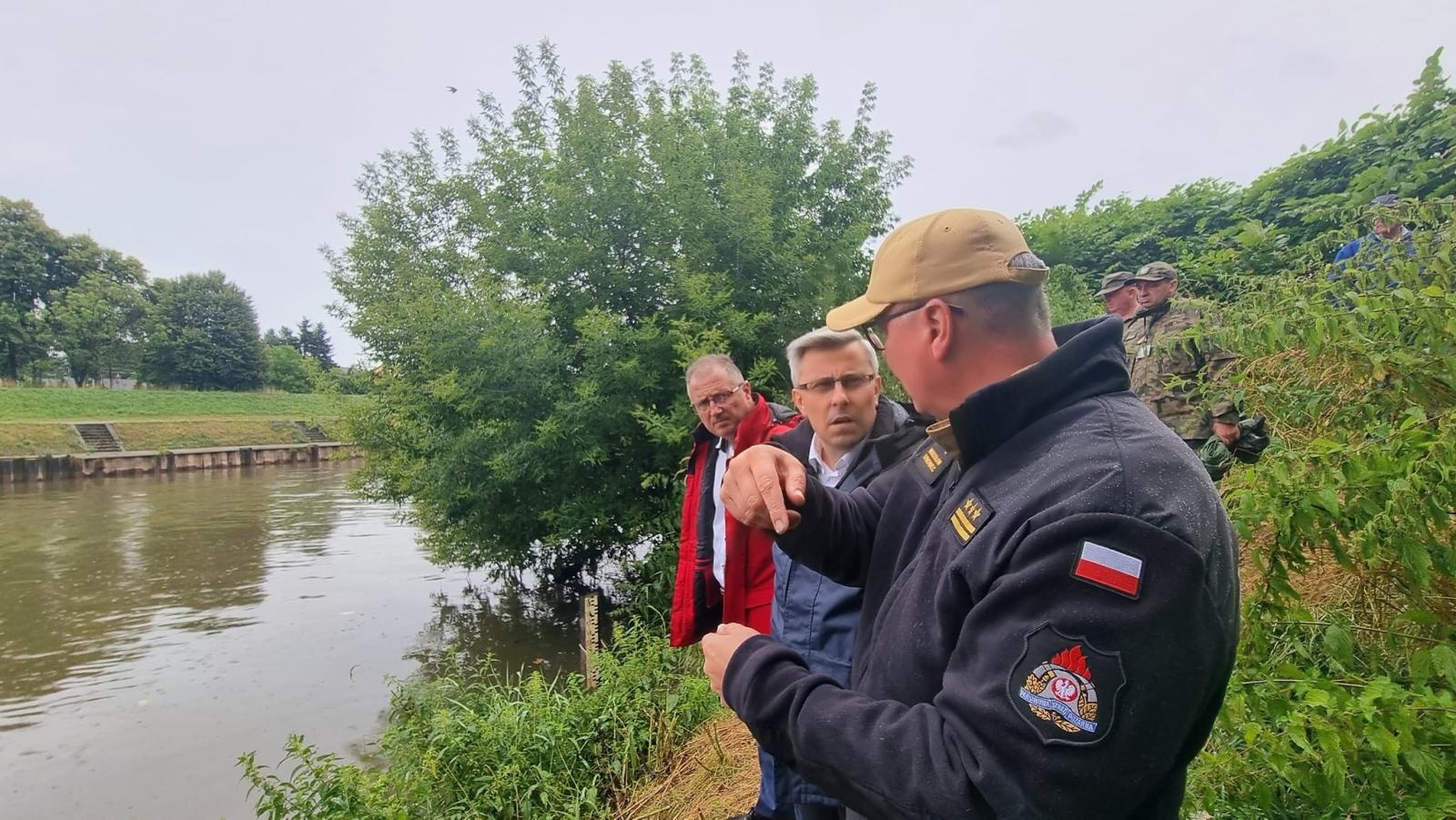 Zdjęcie w galerii na portalu naszraciborz.pl: Śnięte ryby na granicznym odcinku rzeki Odry w powiecie raciborskim wiadomości z regionu