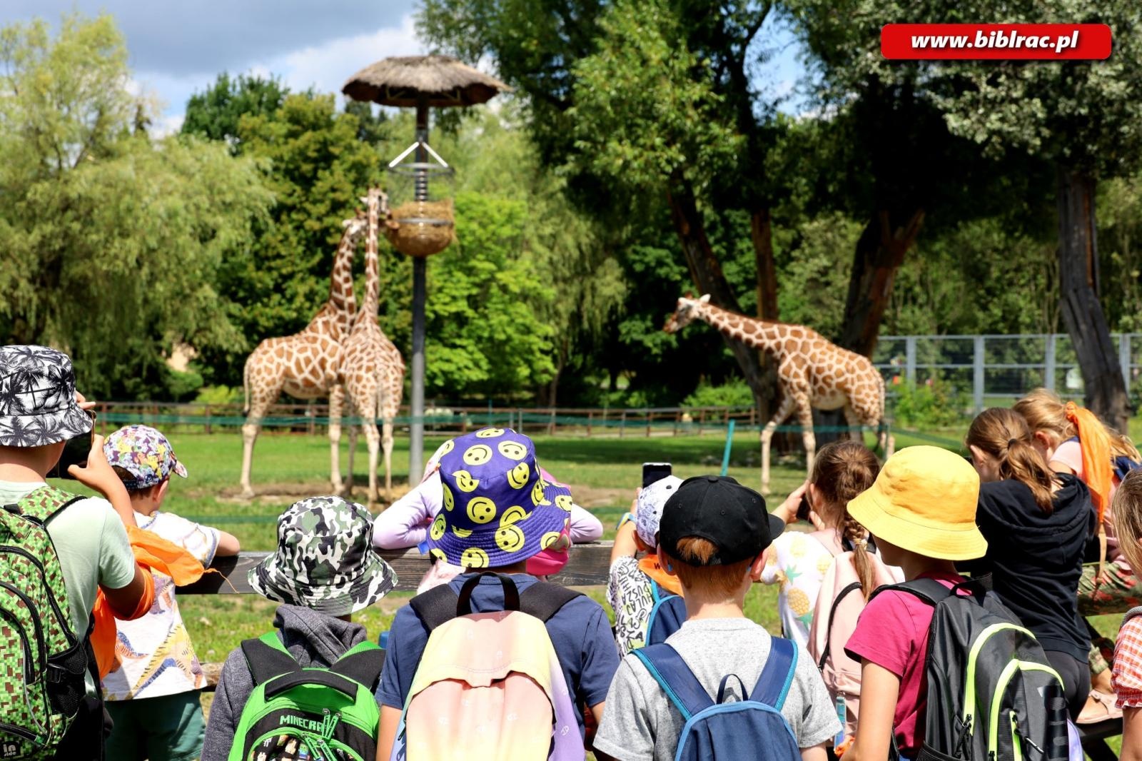 Zdjęcie w galerii na portalu naszraciborz.pl: Tego lata raciborska Biblioteka po raz kolejny zapewnia moc atrakcji dla dzieci i młodzieży! wiadomości z regionu