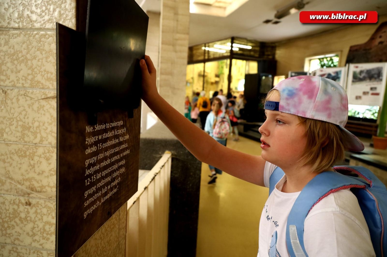 Zdjęcie w galerii na portalu naszraciborz.pl: Tego lata raciborska Biblioteka po raz kolejny zapewnia moc atrakcji dla dzieci i młodzieży! wiadomości z regionu