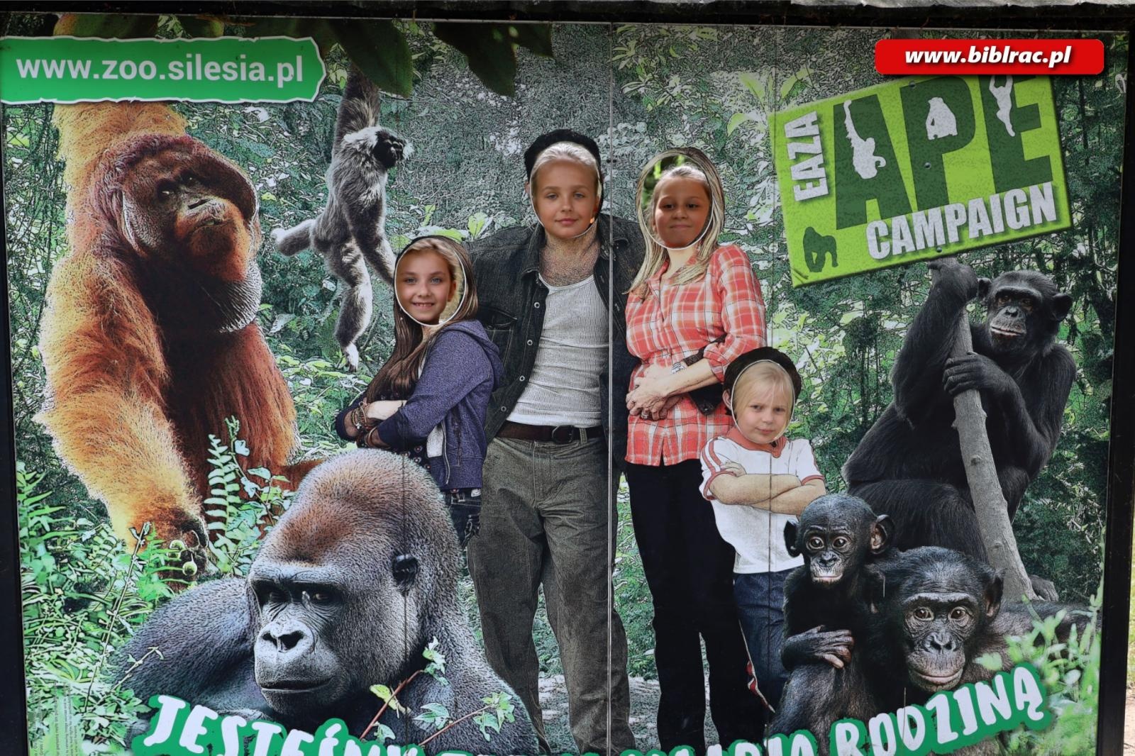 Zdjęcie w galerii na portalu naszraciborz.pl: Tego lata raciborska Biblioteka po raz kolejny zapewnia moc atrakcji dla dzieci i młodzieży! wiadomości z regionu