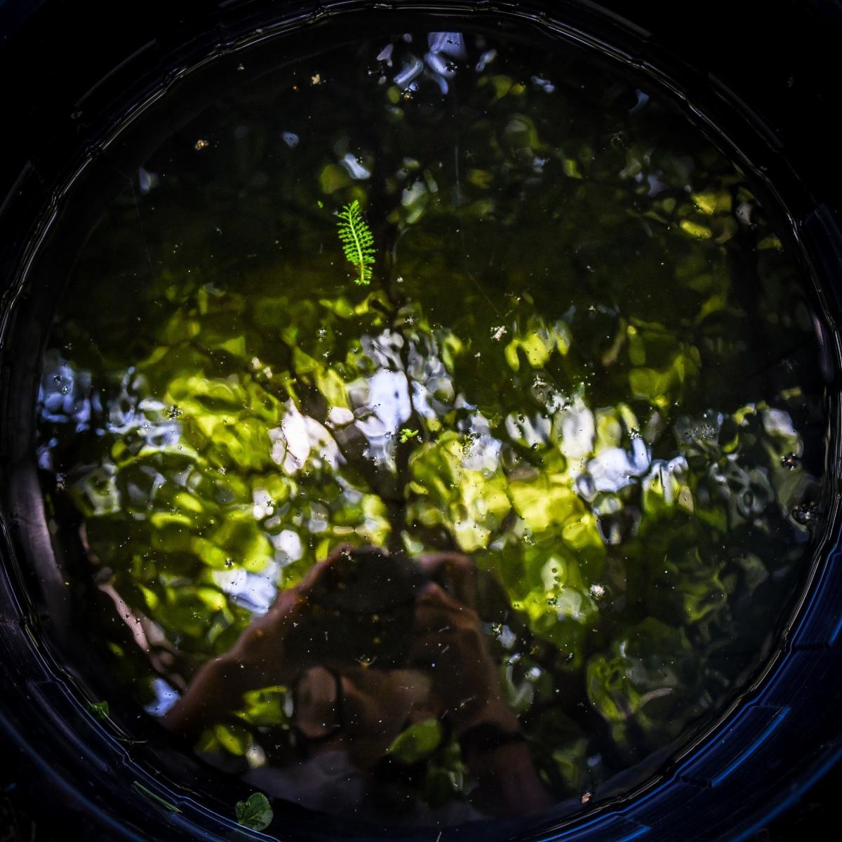 Zdjęcie w galerii na portalu naszraciborz.pl: Podsumowanie warsztatów fotograficznych w Raciborskim Centrum Kultury [fotogaleria] wiadomości z regionu