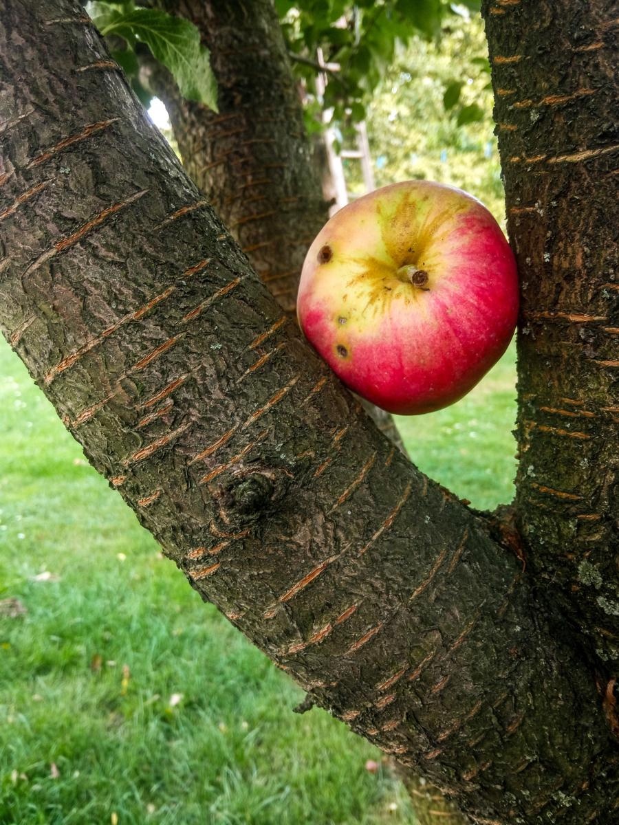 Zdjęcie w galerii na portalu naszraciborz.pl: Podsumowanie warsztatów fotograficznych w Raciborskim Centrum Kultury [fotogaleria] wiadomości z regionu