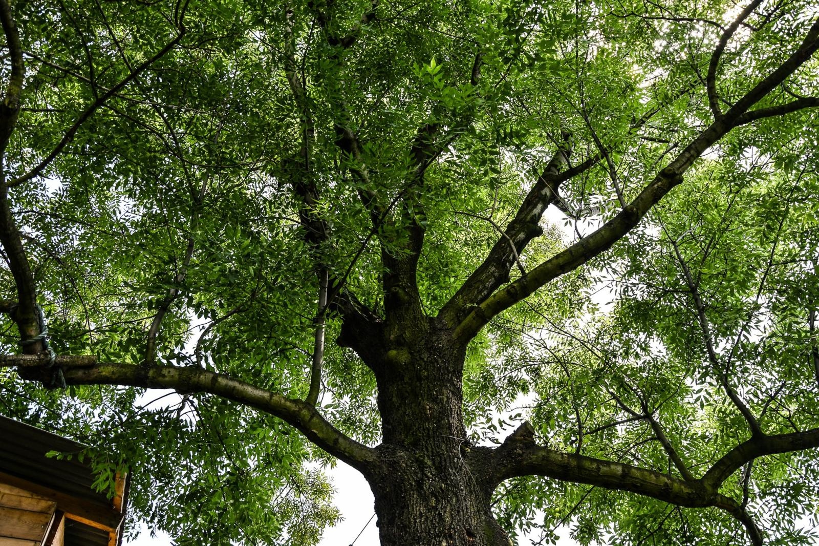 Zdjęcie w galerii na portalu naszraciborz.pl: Podsumowanie warsztatów fotograficznych w Raciborskim Centrum Kultury [fotogaleria] wiadomości z regionu