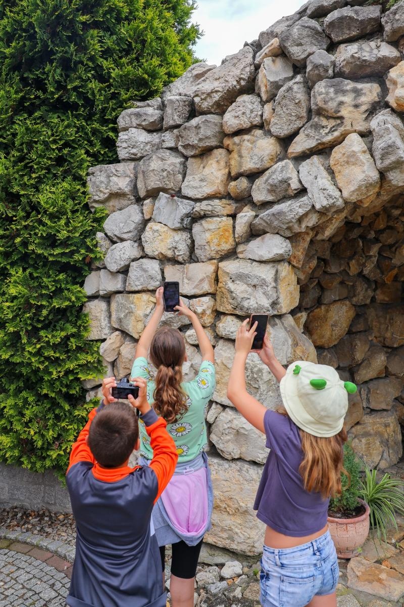 Zdjęcie w galerii na portalu naszraciborz.pl: Podsumowanie warsztatów fotograficznych w Raciborskim Centrum Kultury [fotogaleria] wiadomości z regionu