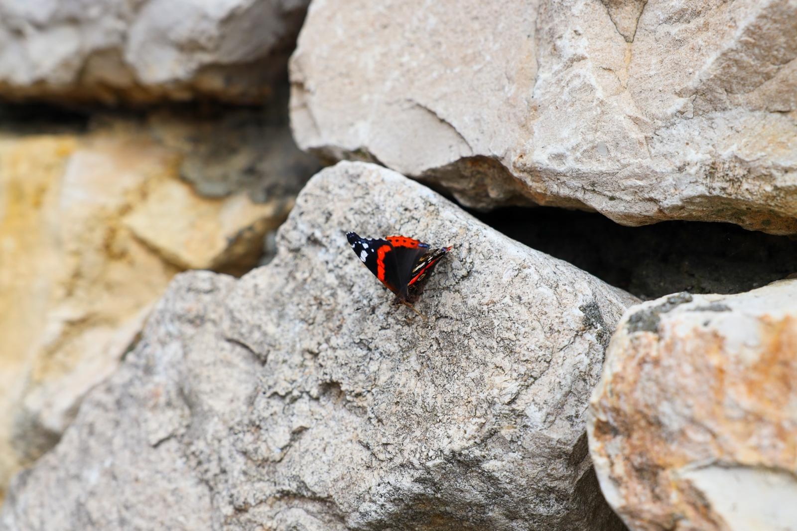 Zdjęcie w galerii na portalu naszraciborz.pl: Podsumowanie warsztatów fotograficznych w Raciborskim Centrum Kultury [fotogaleria] wiadomości z regionu