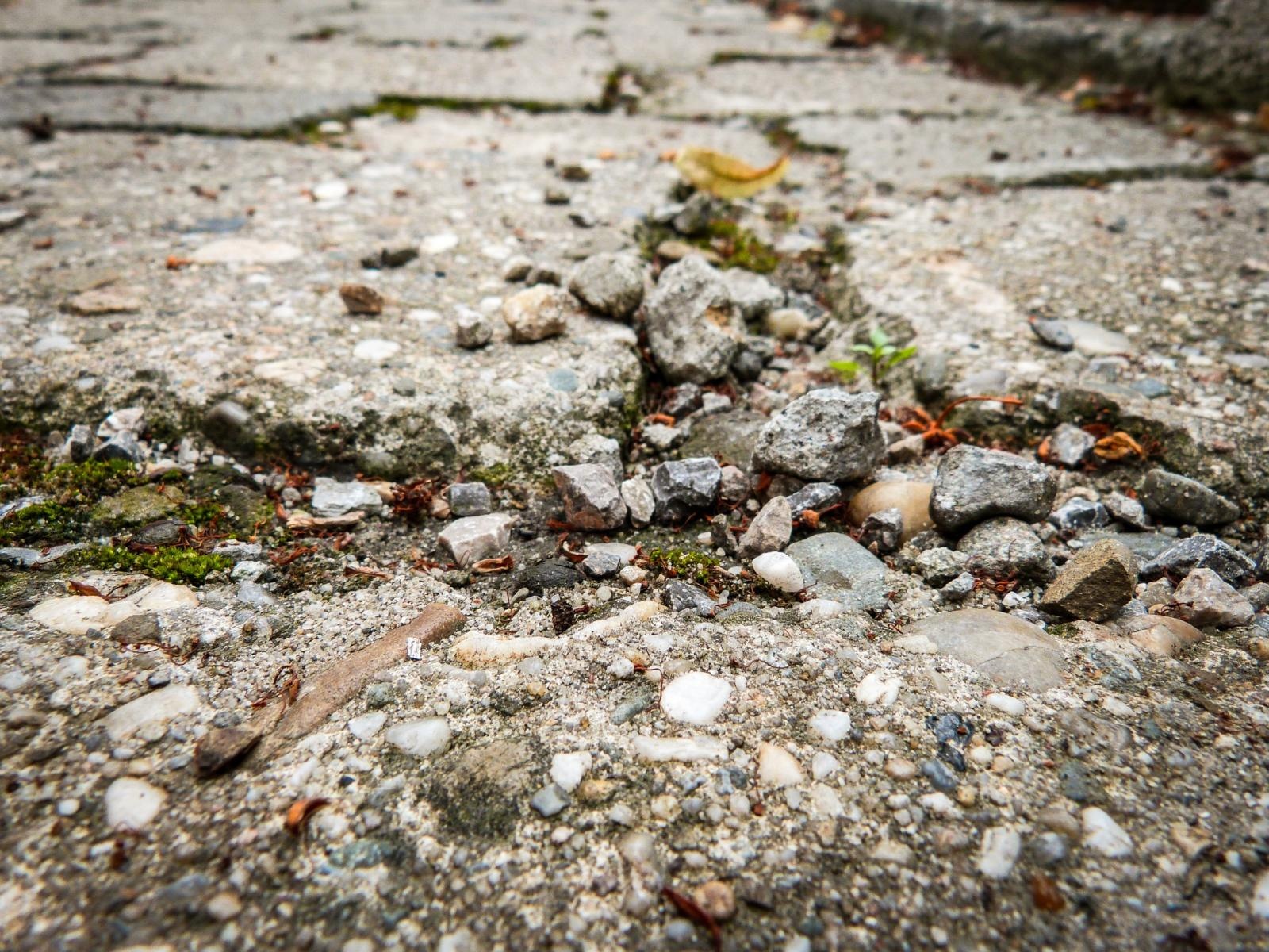 Zdjęcie w galerii na portalu naszraciborz.pl: Podsumowanie warsztatów fotograficznych w Raciborskim Centrum Kultury [fotogaleria] wiadomości z regionu