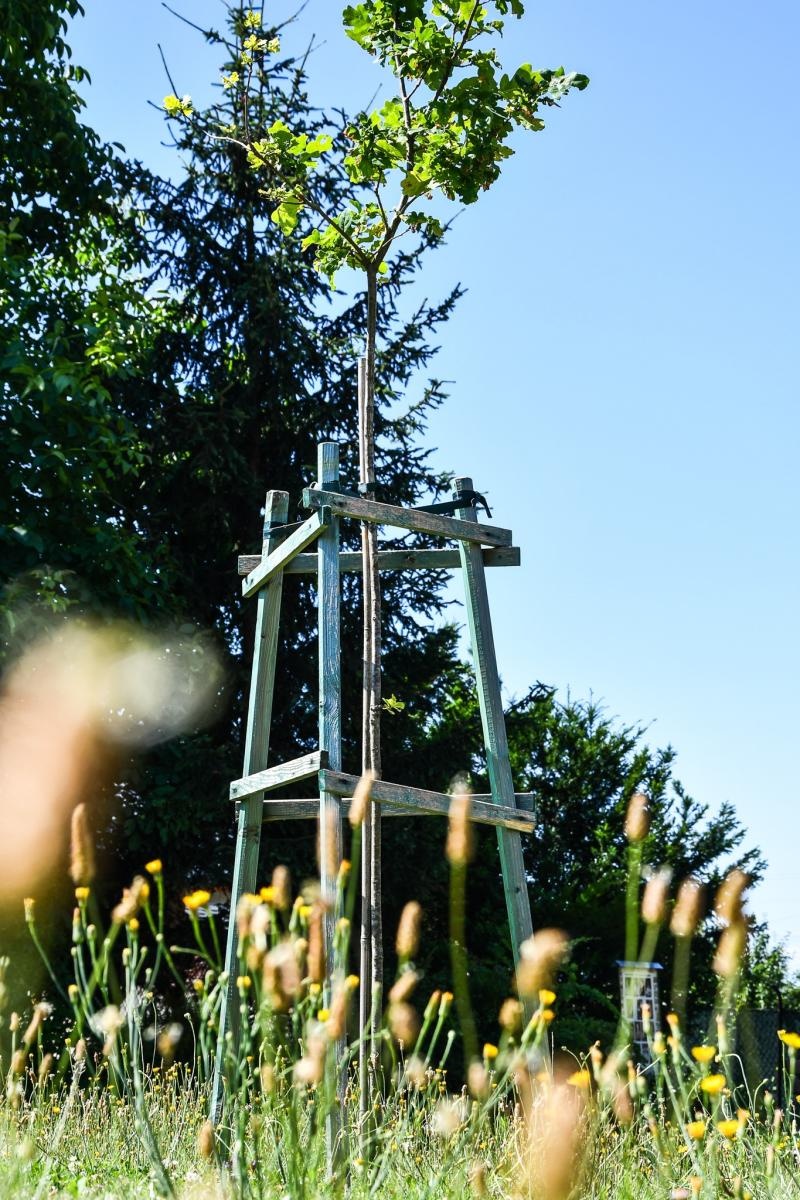 Zdjęcie w galerii na portalu naszraciborz.pl: Podsumowanie warsztatów fotograficznych w Raciborskim Centrum Kultury [fotogaleria] wiadomości z regionu