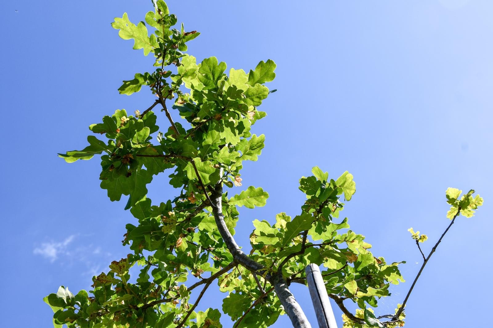 Zdjęcie w galerii na portalu naszraciborz.pl: Podsumowanie warsztatów fotograficznych w Raciborskim Centrum Kultury [fotogaleria] wiadomości z regionu