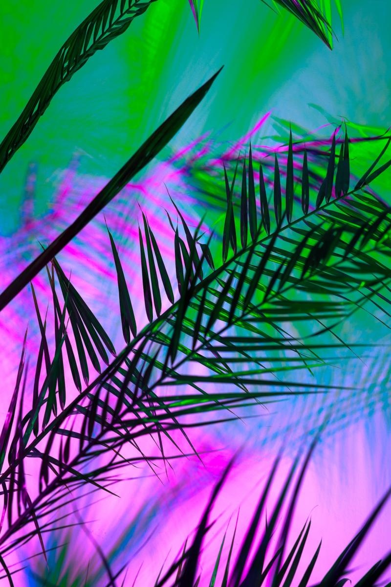 Zdjęcie w galerii na portalu naszraciborz.pl: Podsumowanie warsztatów fotograficznych w Raciborskim Centrum Kultury [fotogaleria] wiadomości z regionu