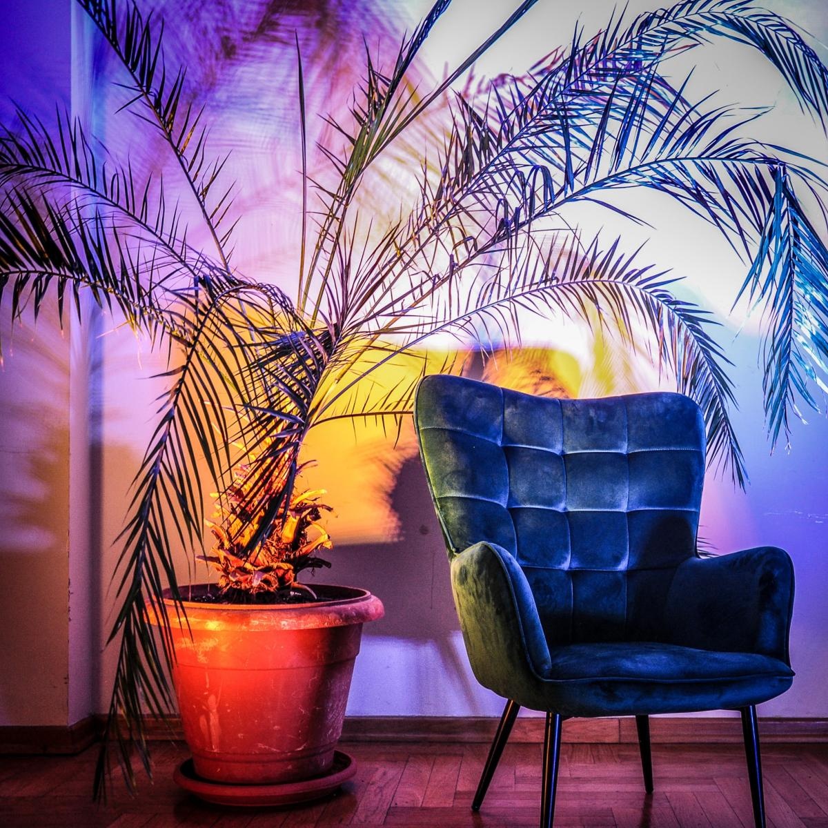 Zdjęcie w galerii na portalu naszraciborz.pl: Podsumowanie warsztatów fotograficznych w Raciborskim Centrum Kultury [fotogaleria] wiadomości z regionu