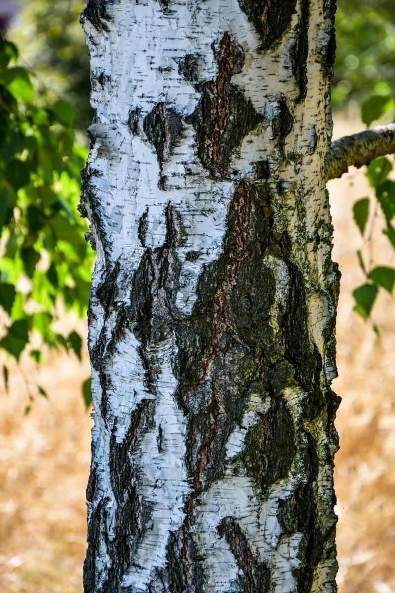Zdjęcie w galerii na portalu naszraciborz.pl: Podsumowanie warsztatów fotograficznych w Raciborskim Centrum Kultury [fotogaleria] wiadomości z regionu