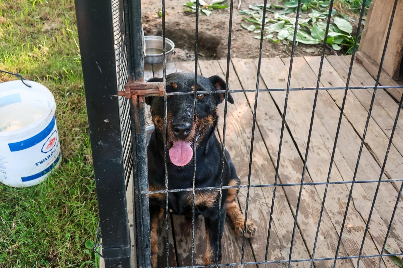Zdjęcie w galerii na portalu naszraciborz.pl: Podsumowanie warsztatów fotograficznych w Raciborskim Centrum Kultury [fotogaleria] wiadomości z regionu