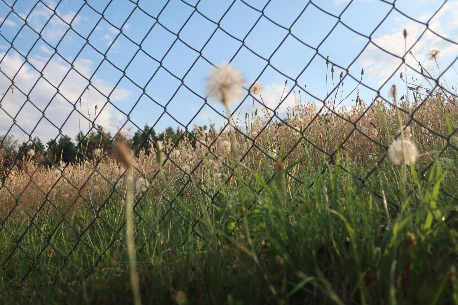 Zdjęcie w galerii na portalu naszraciborz.pl: Podsumowanie warsztatów fotograficznych w Raciborskim Centrum Kultury [fotogaleria] wiadomości z regionu