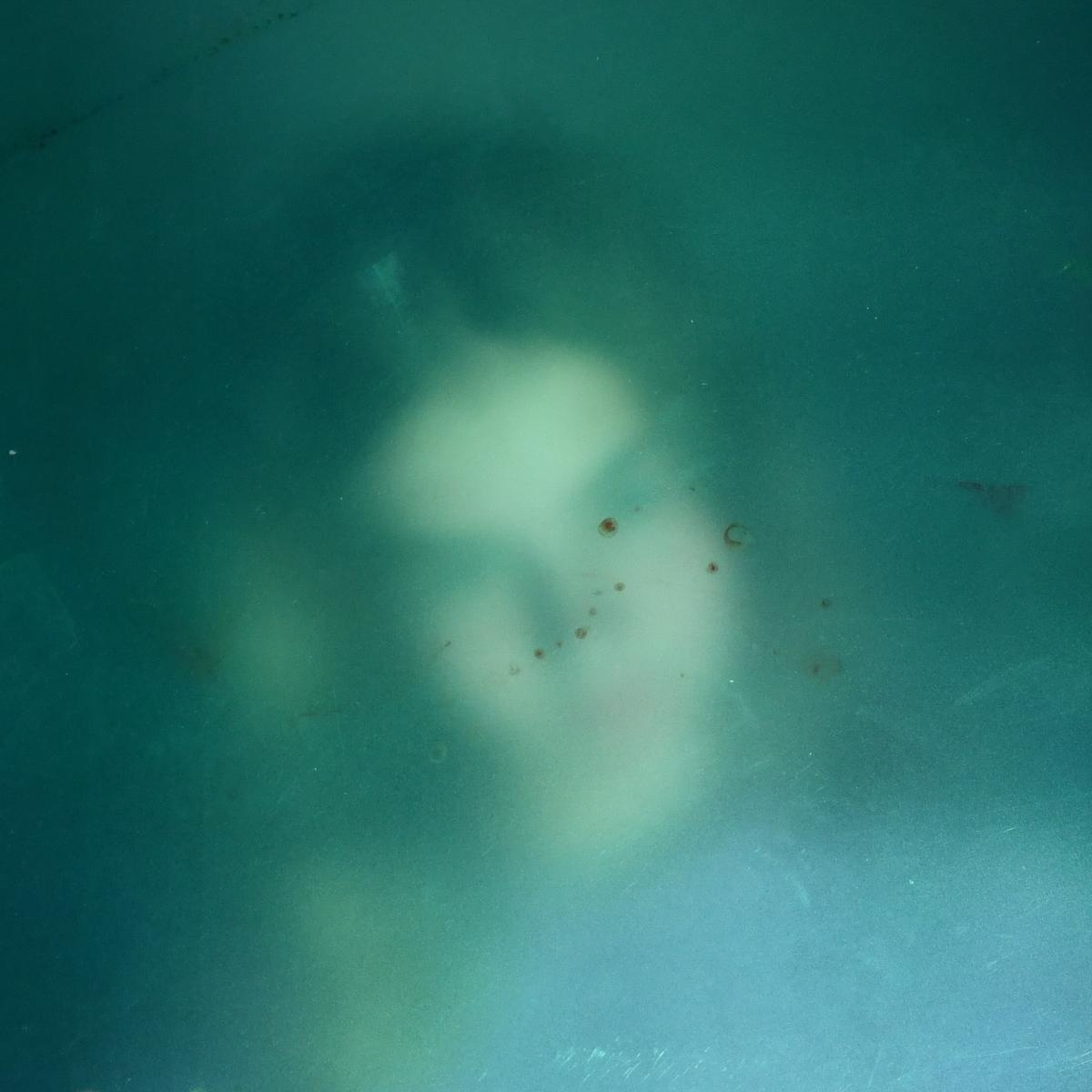 Zdjęcie w galerii na portalu naszraciborz.pl: Podsumowanie warsztatów fotograficznych w Raciborskim Centrum Kultury [fotogaleria] wiadomości z regionu