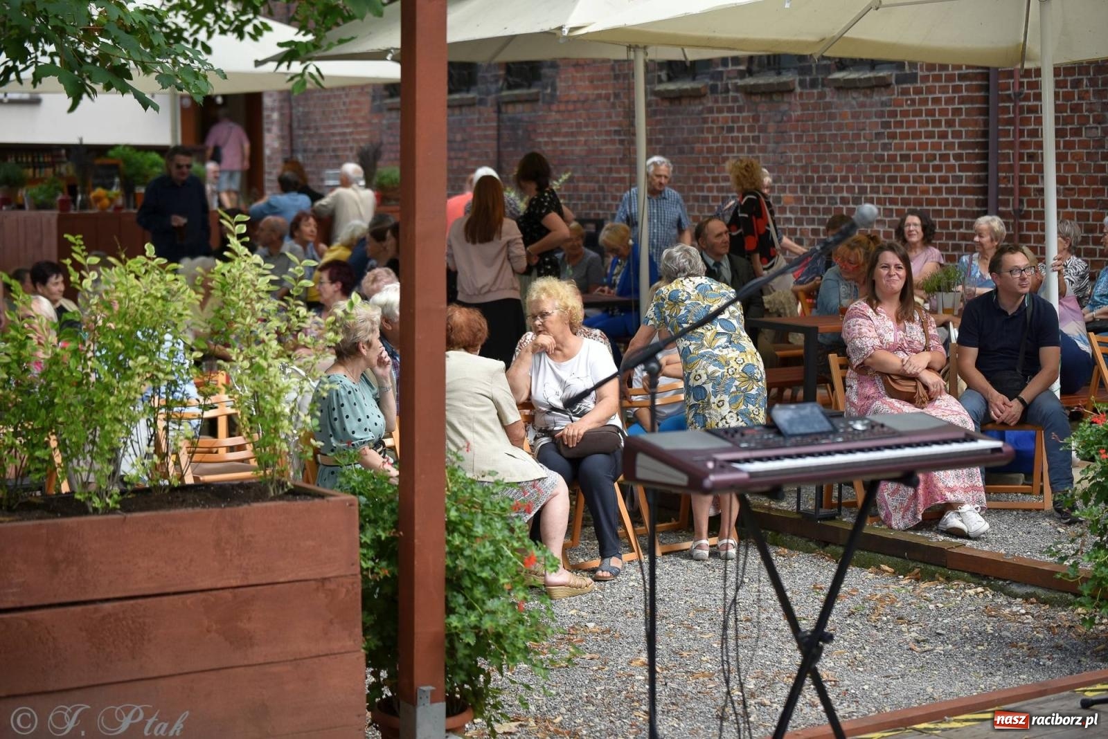 Zdjęcie w galerii na portalu naszraciborz.pl: W Etiudzie za Muzeum zabrzmiała muzyka romska [FOTO i WIDEO] wiadomości z regionu