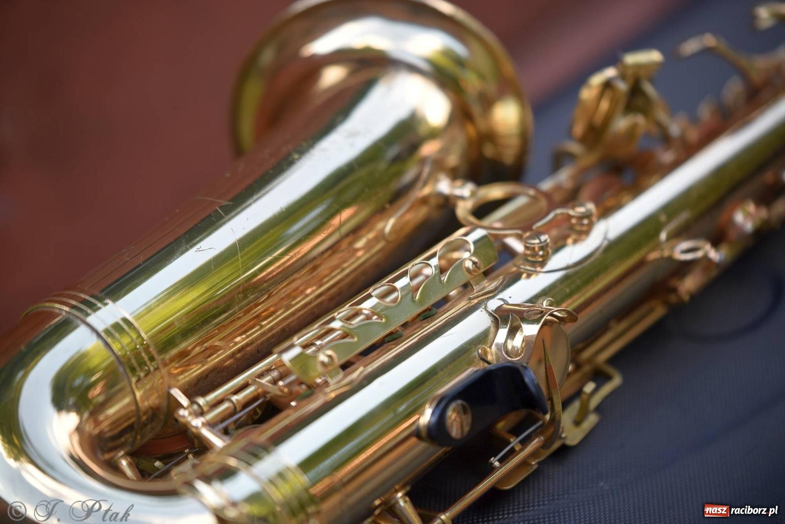 Zdjęcie w galerii na portalu naszraciborz.pl: W Etiudzie za Muzeum zabrzmiała muzyka romska [FOTO i WIDEO] wiadomości z regionu