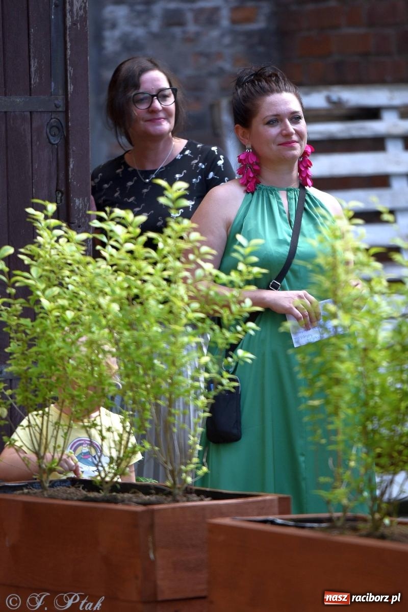 Zdjęcie w galerii na portalu naszraciborz.pl: W Etiudzie za Muzeum zabrzmiała muzyka romska [FOTO i WIDEO] wiadomości z regionu