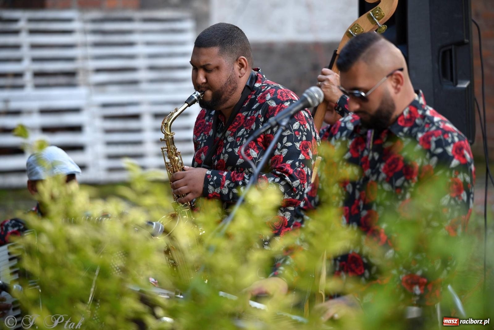 Zdjęcie w galerii na portalu naszraciborz.pl: W Etiudzie za Muzeum zabrzmiała muzyka romska [FOTO i WIDEO] wiadomości z regionu