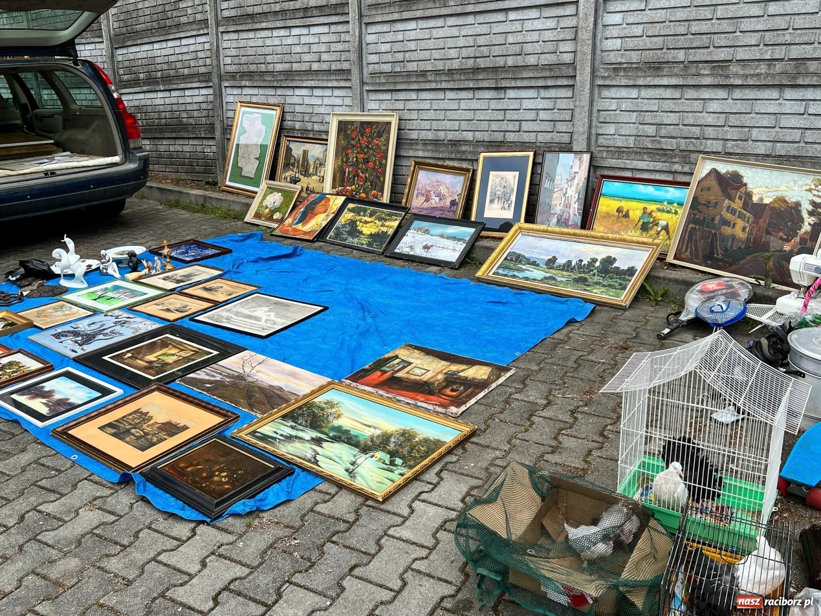 Zdjęcie w galerii na portalu naszraciborz.pl: Targ staroci w Pietrowicach Wlk. Pamiątka po polskim lotniku i urządzenie od producenta Enigmy wiadomości z regionu