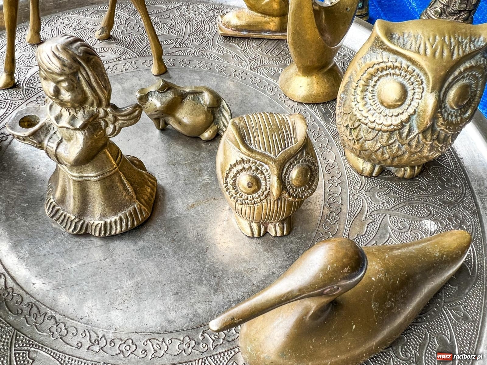 Zdjęcie w galerii na portalu naszraciborz.pl: Targ staroci w Pietrowicach Wlk. Pamiątka po polskim lotniku i urządzenie od producenta Enigmy wiadomości z regionu