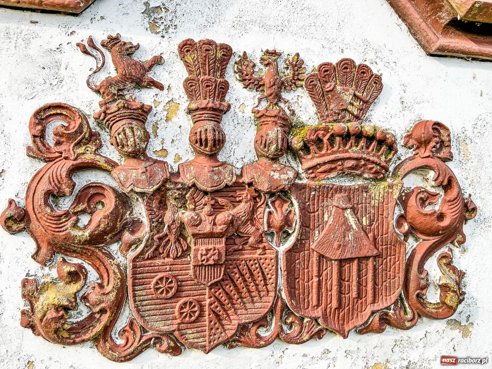 Zdjęcie w galerii na portalu naszraciborz.pl: Cudem uszła przed śmiercią. Tajemnica krzyża Gaszynów w Krowiarkach wiadomości z regionu