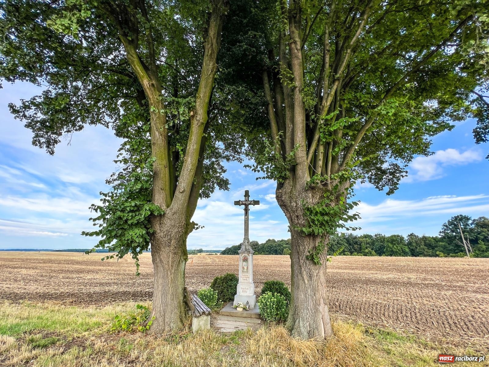 Zdjęcie w galerii na portalu naszraciborz.pl: Cudem uszła przed śmiercią. Tajemnica krzyża Gaszynów w Krowiarkach wiadomości z regionu