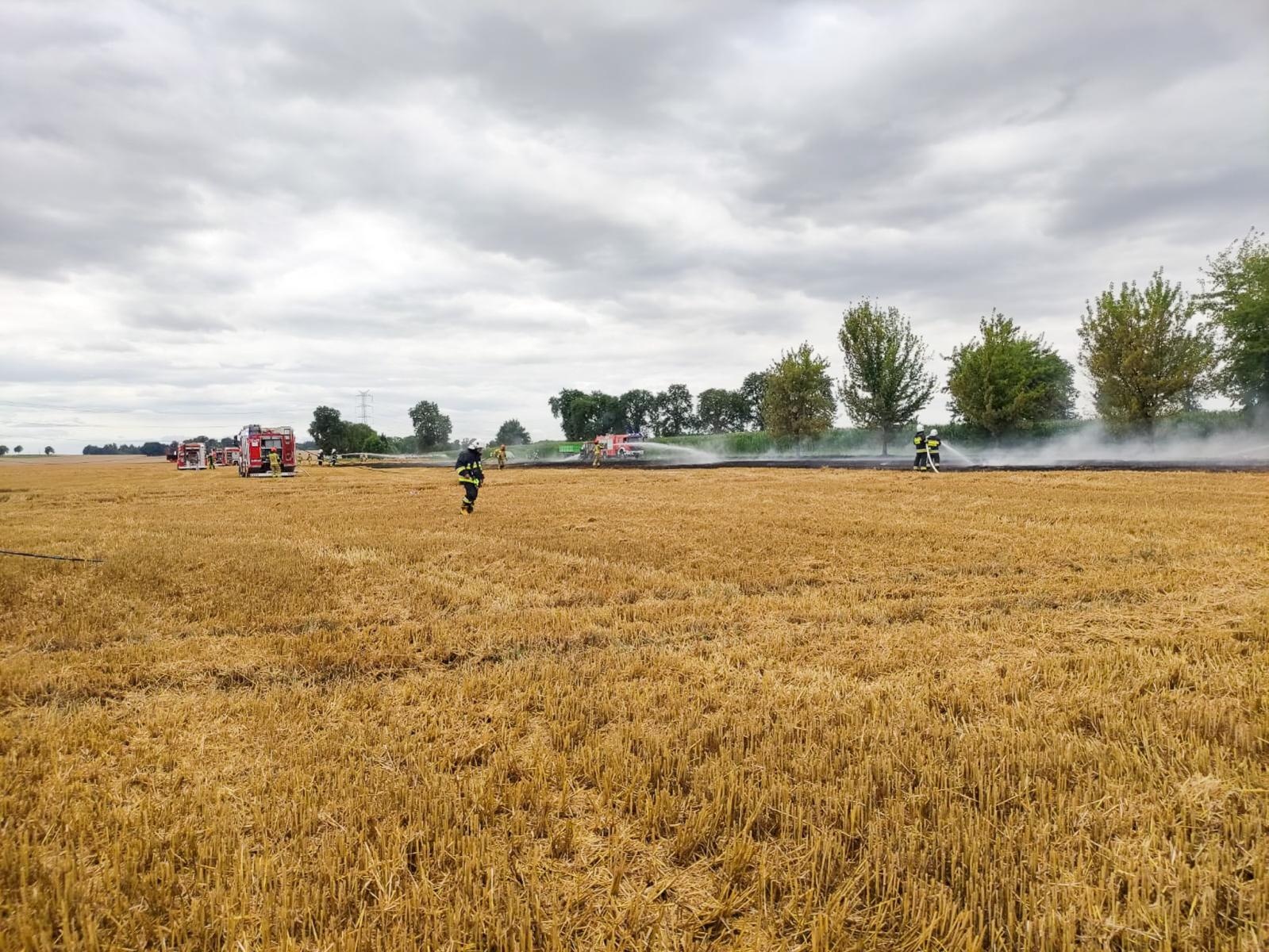 Zdjęcie w galerii na portalu naszraciborz.pl: Podpalenie ścierniska w Brzeźnicy wiadomości z regionu