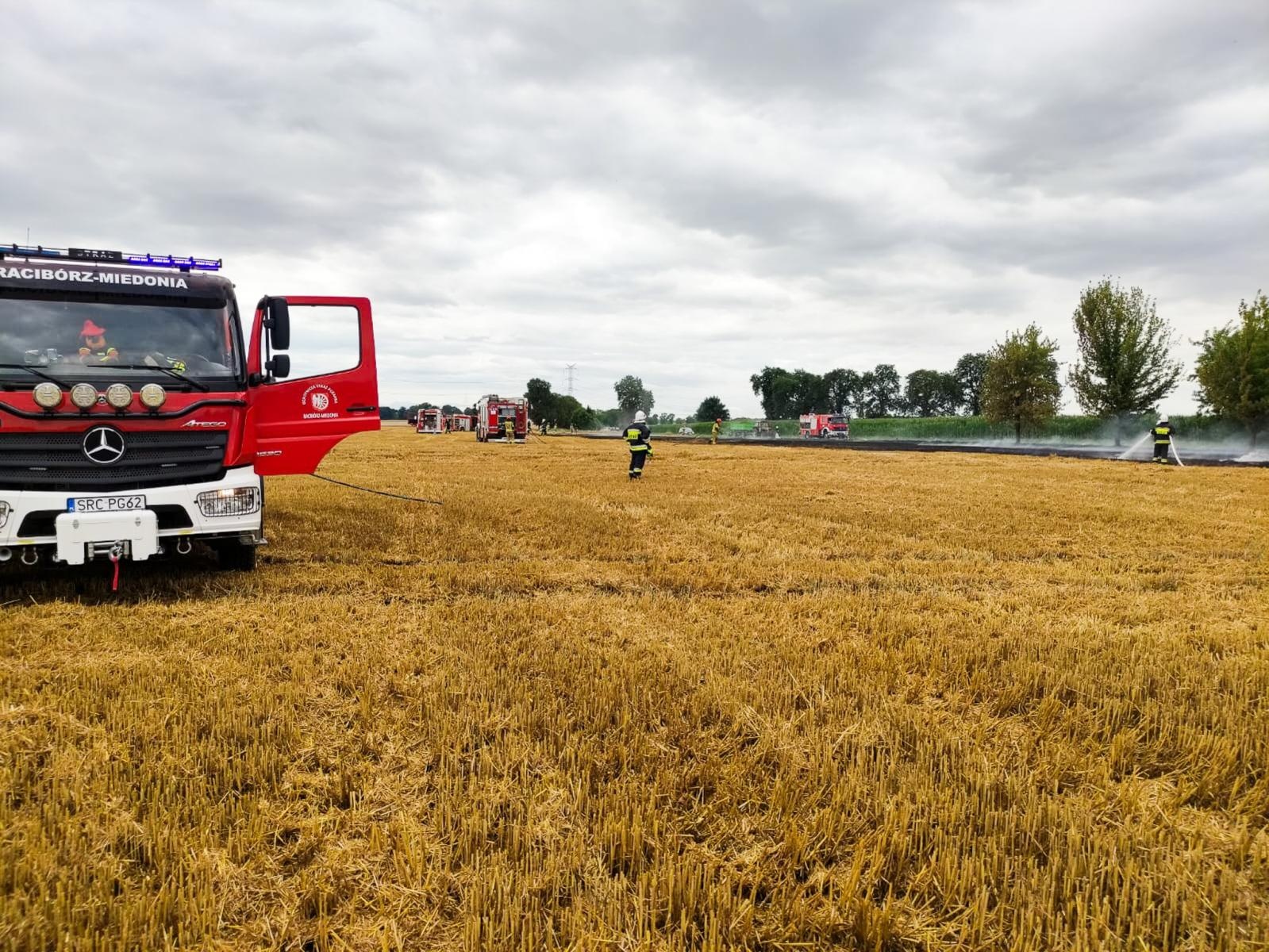 Zdjęcie w galerii na portalu naszraciborz.pl: Podpalenie ścierniska w Brzeźnicy wiadomości z regionu