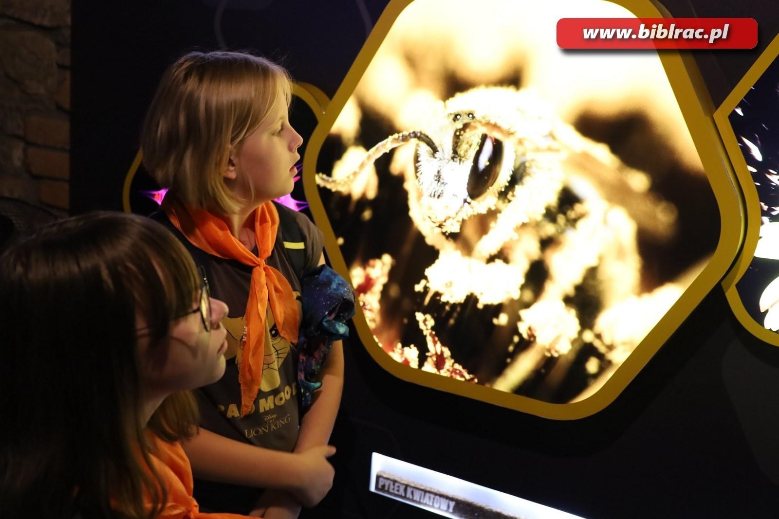 Zdjęcie w galerii na portalu naszraciborz.pl: Mali raciborzanie zawitali do Apilandii wiadomości z regionu