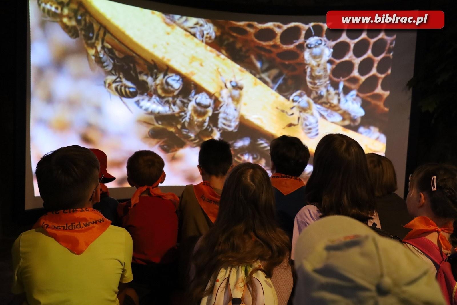 Zdjęcie w galerii na portalu naszraciborz.pl: Mali raciborzanie zawitali do Apilandii wiadomości z regionu