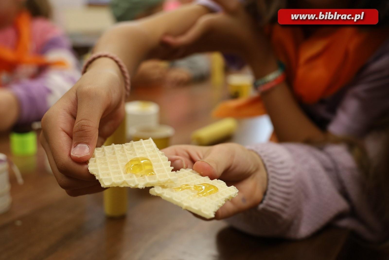 Zdjęcie w galerii na portalu naszraciborz.pl: Mali raciborzanie zawitali do Apilandii wiadomości z regionu
