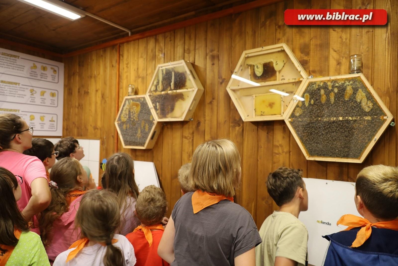 Zdjęcie w galerii na portalu naszraciborz.pl: Mali raciborzanie zawitali do Apilandii wiadomości z regionu