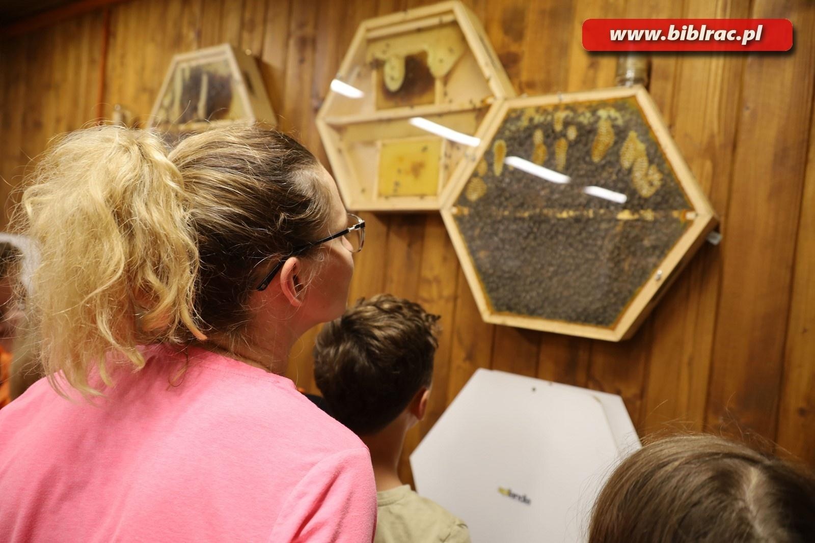 Zdjęcie w galerii na portalu naszraciborz.pl: Mali raciborzanie zawitali do Apilandii wiadomości z regionu