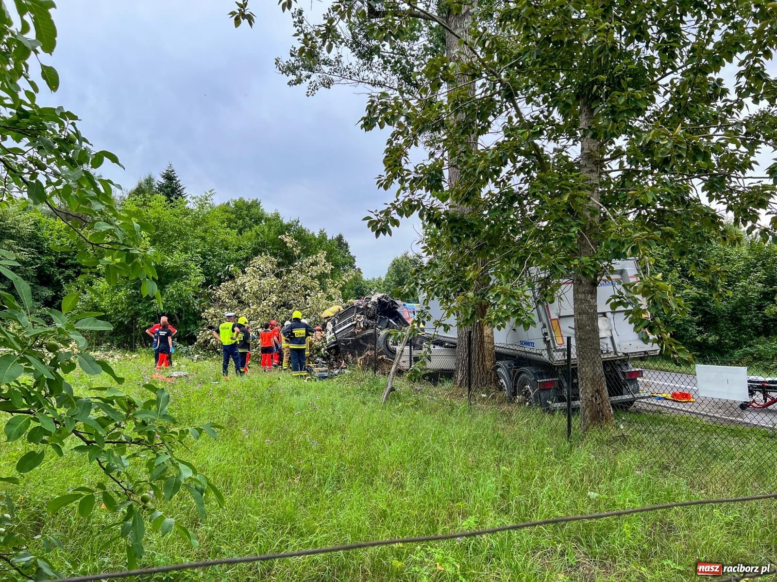 Zdjęcie w galerii na portalu naszraciborz.pl: Wypadek na DW 919 odcinek Racibórz-Babice [FOTO] wiadomości z regionu