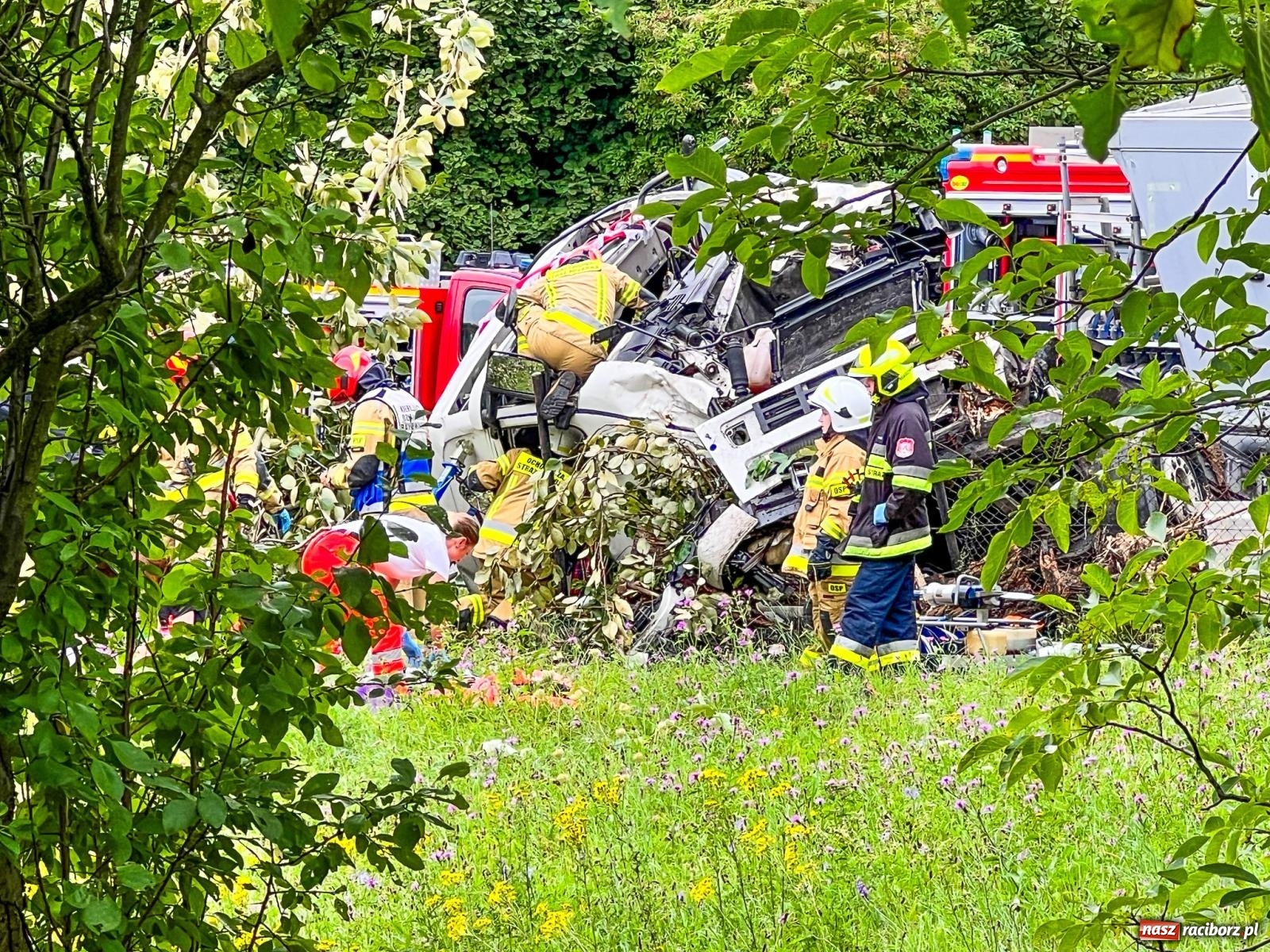 Zdjęcie w galerii na portalu naszraciborz.pl: Wypadek na DW 919 odcinek Racibórz-Babice [FOTO] wiadomości z regionu