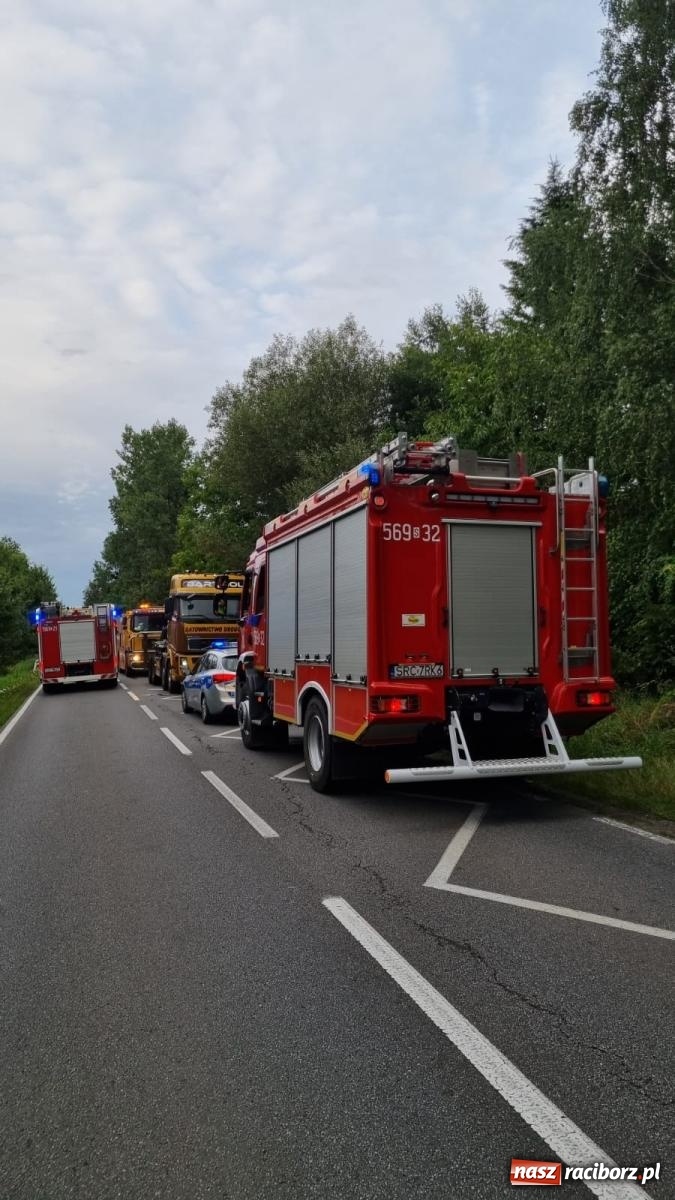Zdjęcie w galerii na portalu naszraciborz.pl: Wypadek na DW 919 odcinek Racibórz-Babice [FOTO] wiadomości z regionu