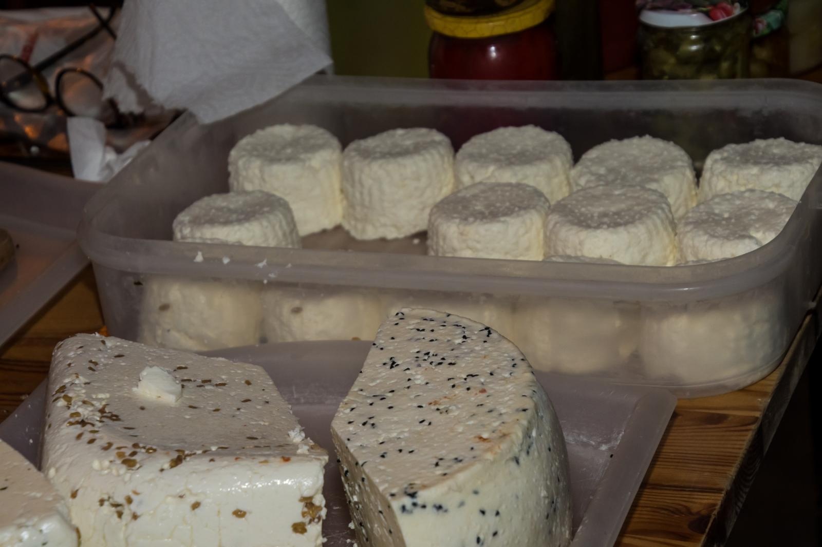 Zdjęcie w galerii na portalu naszraciborz.pl: Sierpniowy BIOBazar na Końcu Świata [FOTO i WIDEO] wiadomości z regionu