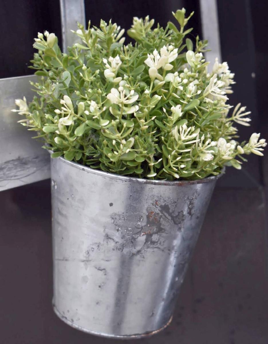 Zdjęcie w galerii na portalu naszraciborz.pl: Na Zamku Piastowskim trwa dwudniowy piknik kulinarny wiadomości z regionu